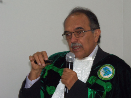 ANML Salvador 15